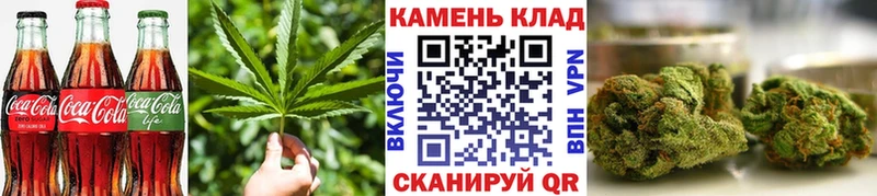 где купить наркоту  Волгоград  hydra онион  Печенье с ТГК конопля 
