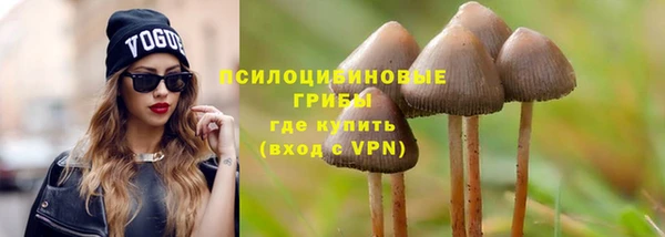гидра Аркадак